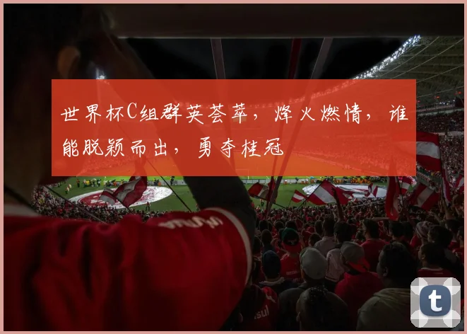 世界杯C组群英荟萃，烽火燃情，谁能脱颖而出，勇夺桂冠