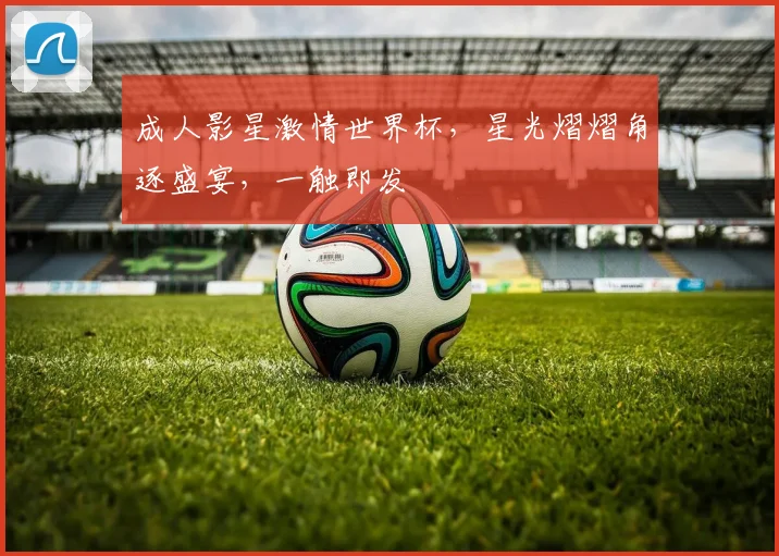成人影星激情世界杯，星光熠熠角逐盛宴，一触即发