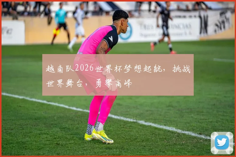 越南队2026世界杯梦想起航，挑战世界舞台，勇攀高峰