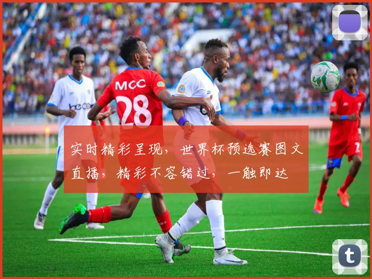 实时精彩呈现，世界杯预选赛图文直播，精彩不容错过，一触即达