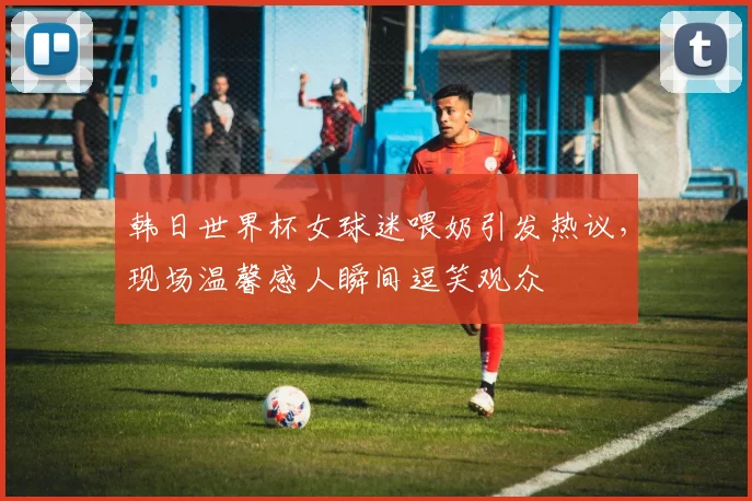 韩日世界杯女球迷喂奶引发热议，现场温馨感人瞬间逗笑观众